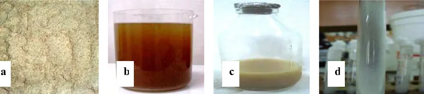 Gambar 
  2. 
  Dedak 
  sorgum 
  (a), 
  liquisat 
  hasil 
  hidrolisis 
  amylolitik 
  dedak 
  sorgum 
  (b), 
  hidrolisat 
  hasil 
  hidrolisis 
  liquisat 
  menggunakan 
  kultur 
   
  Rizopus 
  C1 
   
  dalam 
  etanol 
  (c) 
   
  dan 
  k