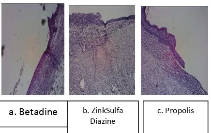 Gambar 4 ;Gambaran histopatologis kulit tikus dengan pewarna H.E (perbesaran 400 kali, potongan melintang)