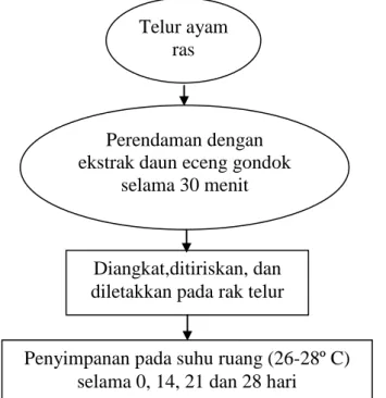 Gambar 4. Diagram Alir Proses Perendaman Telur Ayam Ras Telur ayam 