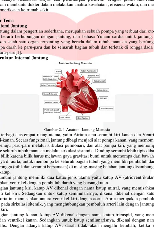 Gambar 2. 1 Anatomi Jantung Manusia 