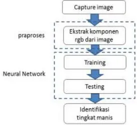 Gambar 1. Tahapan penelitian  2.2.1   Capture Image 