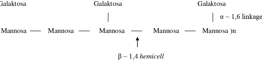 Gambar 1. Rantai β – mannan yang dipecah oleh hemicell 