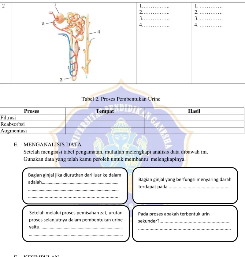 Tabel 2. Proses Pembentukan Urine 
