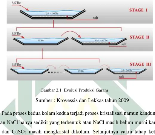 Gambar 2.1  Evolusi Produksi Garam 