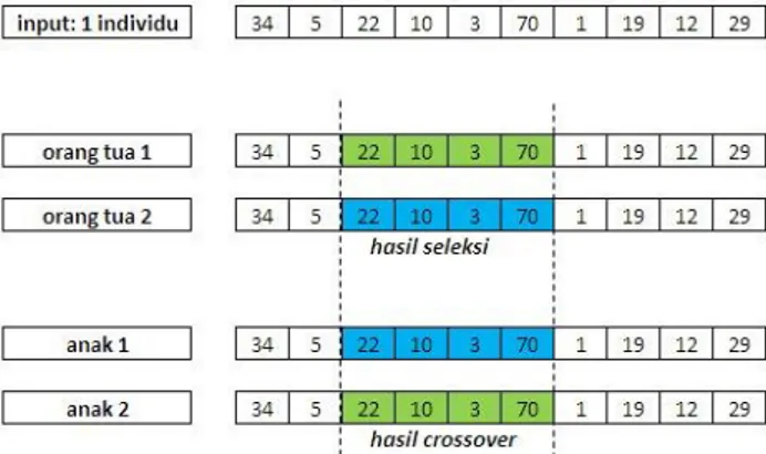 Gambar 2 Proses crossover pada populasi minimum 