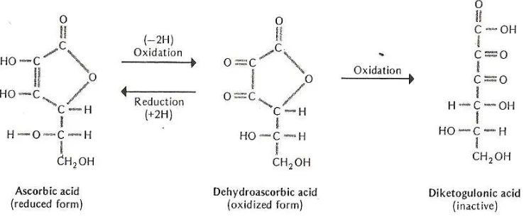 Gambar 2. Reduksi-Oksidasi dari Vitamin C 