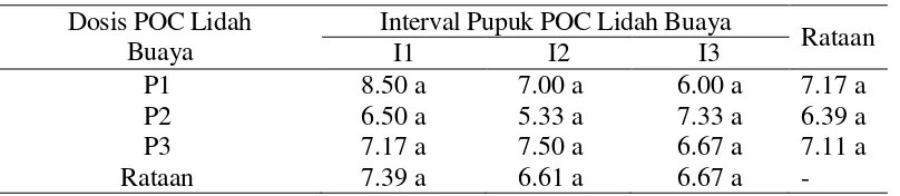 Tabel 2  Rataan jumlah cabang umur 4 minggu setelah tanam pada pemberian POC lidah buaya dan interval waktu pemberian pupuk POC lidah buaya   