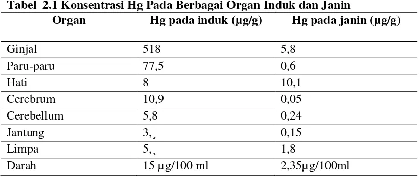 Tabel  2.1 Konsentrasi Hg Pada Berbagai Organ Induk dan Janin 