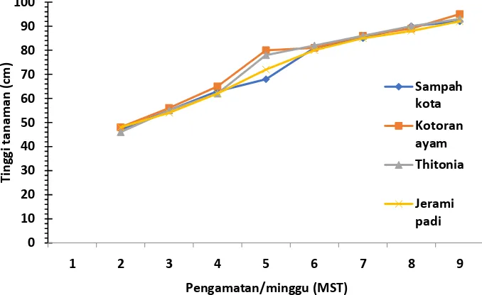 Tabel 2  Jumlah anakan / rumpun tanaman padi metode SRI pada pemberian   beberapa jenis bahan organik umur 8 dan 9 minggu setelah tanam (MST) 