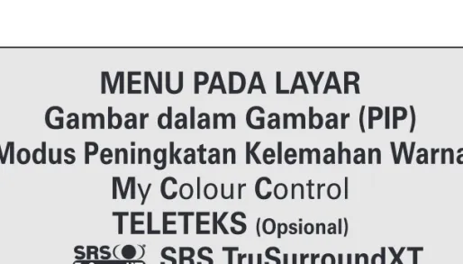 Gambar dalam Gambar (PIP)