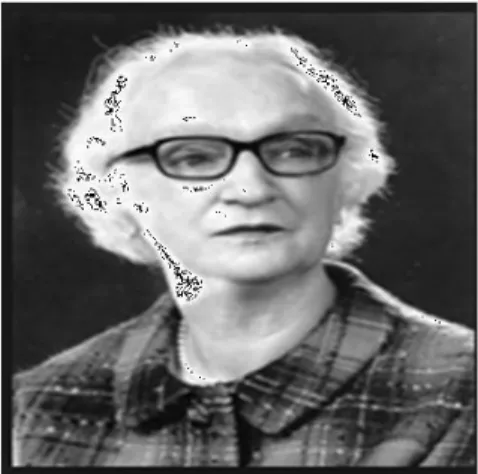 Gambar 1.5 Hildegard E. Peplau 