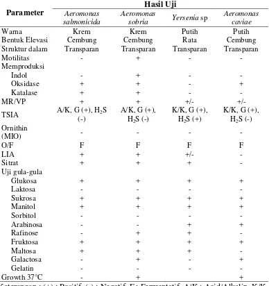 Tabel 1. Hasil pengamatan sel berupa pewarnaan gram dan uji biokimia bakteri patogen pada ikan patin 