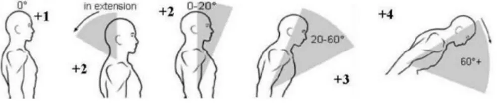 Gambar 3.3 Postur Tubuh Bagian Batang Tubuh (Trunk)  (Sumber : S. Hignett, L. McAtammey) 