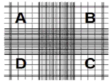 Gambar : Haemocytometer 