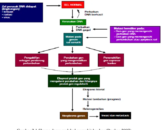 Gambar 2.1 Skema dasar molekul penyakit kanker (Depkes,2007) 