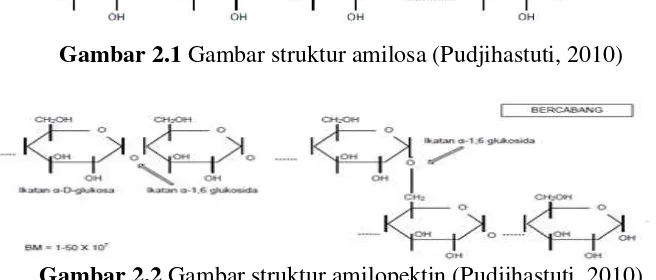 Gambar 2.2  Gambar struktur amilopektin (Pudjihastuti, 2010) 