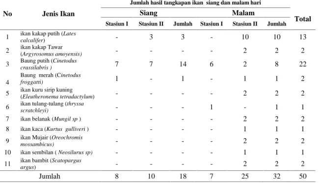 Tabel 1 Perbandingan hasil tangkap jaring insang pada waktu siang dan malam hari di Sungai Kumbe Distrik Malind Kabupaten Merauke