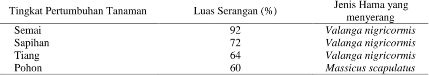 Tabel 1. Luas serangan hama Valanga nigricormis, dan Massicus scapulatus pada tegakan damar di Hutan Lindung Gunung Sirimau.