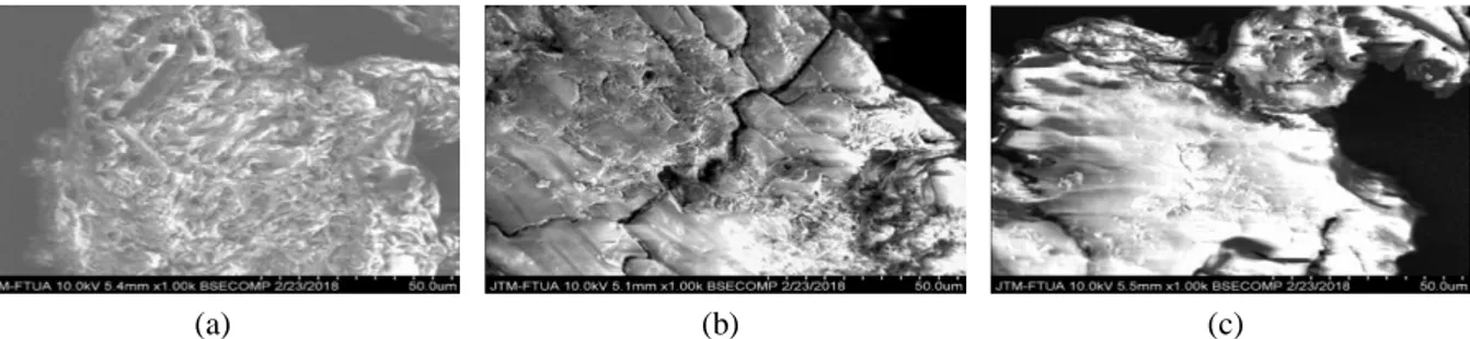 Gambar 10. Gambar Scanning Electron Microscopy dari biosorben kulit salak perbesaran 1000x: (a)