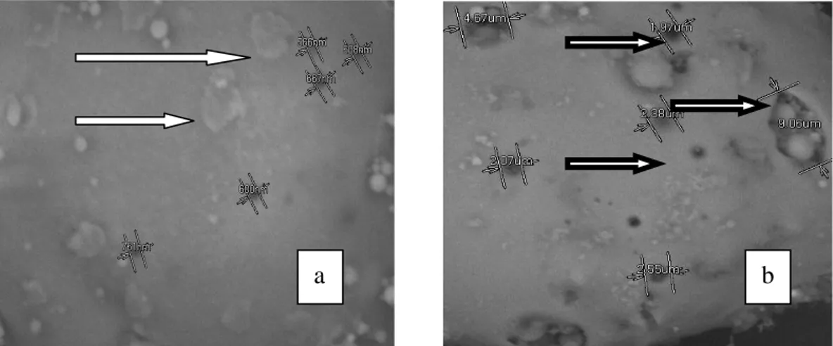 Gambar 2  Mikrograf SEM Abu layang (a) abu layang sebelum aktivasi (b) abu  layang setelah aktivasi (          = zat pengotor yang menutupi permukaan adsorben)          (         =  menunjukkan pori ) 