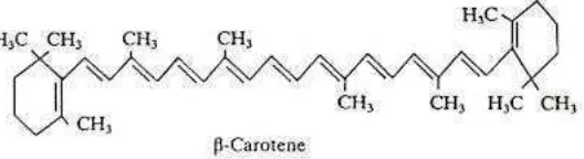 Gambar 2. Struktur kimia β-karoten (Elbe and Schwartz, 1996). 