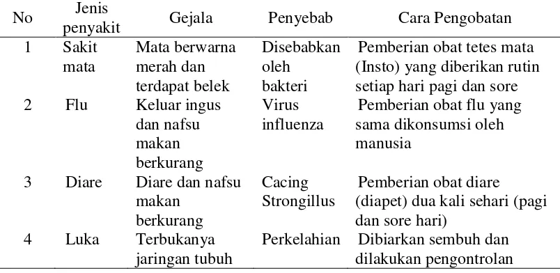 Tabel 6 Jenis dan cara pengobatan penyakit orangutan kalimantan di Taman Satwa Cikembulan 