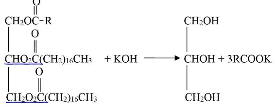 Gambar 1 : Reaksi hidrolisis trigliserida 