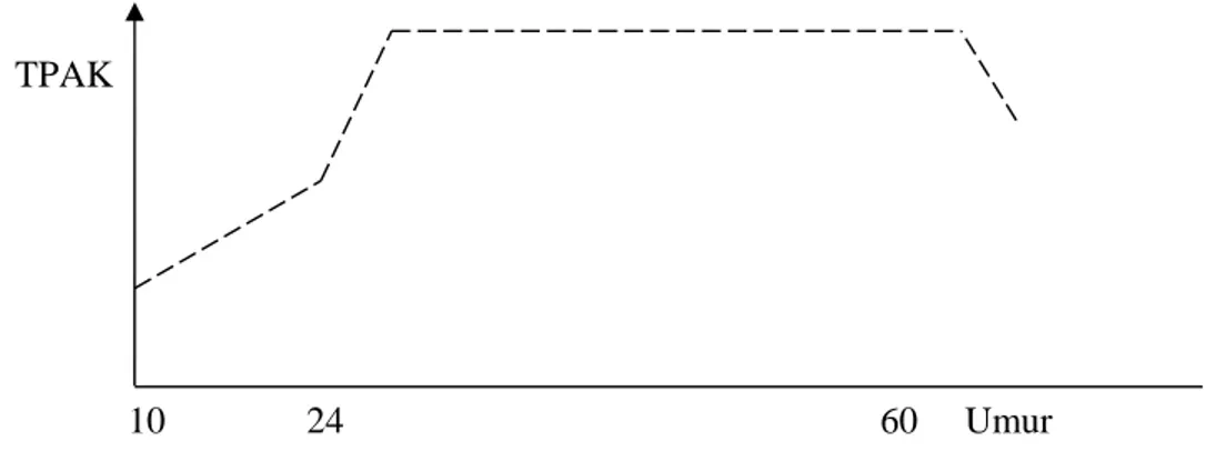 Gambar : 1.3 Kurva Hubungan Antara Umur dan TPAK 19