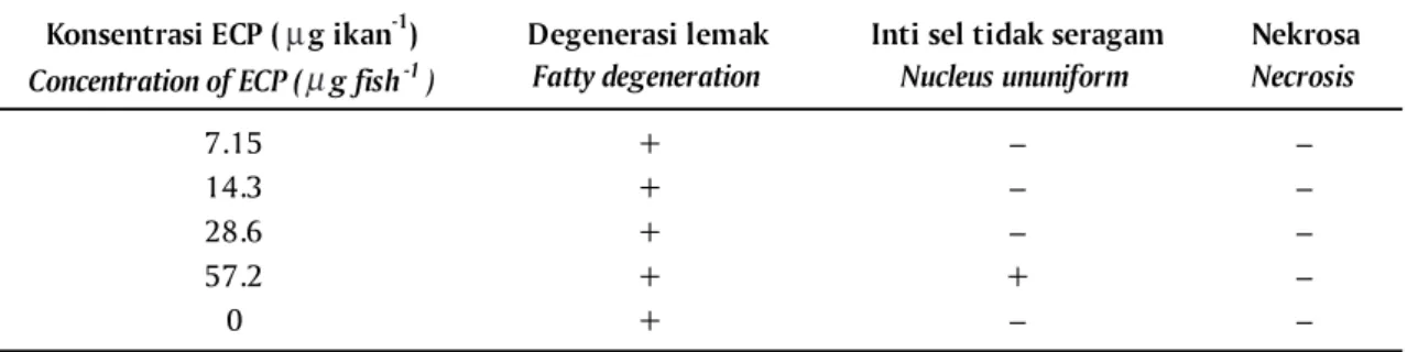 Gambar 3. Histopatologi organ ginjal ikan gurame yang diinjeksi ECP M. fortuitum menunjukkan adanya degenerasi lemak (dg)