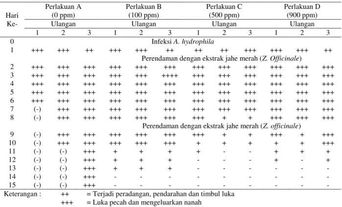 Tabel  2  memperlihatkan  bahwa  kondisi  ikan  nila  semakin  membaik  setelah  dilakukan  perendaman  ekstrak  jahe  merah