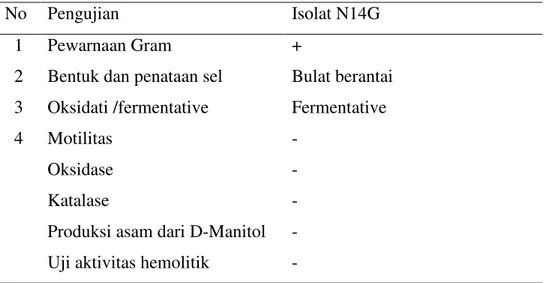 Tabel 2. Karakteristik bakteri Streptococcus agalactiae 