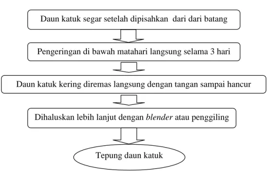Ilustrasi 2. Diagram Alir Pembuatan Tepung Daun Katuk. 