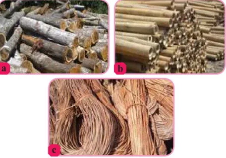 Gambar 1.4. Aneka bahan keras alam; a. kayu, b. bambu, dan c. rotan.
