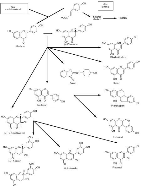 Gambar 2.12.  Biosintesa hubungan antara jenis monomer flavonoida dari alur asetat-malonat 