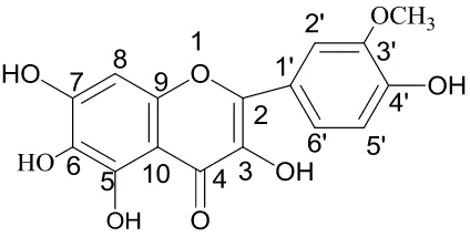 Gambar 4.4  Struktur Senyawa Hasil Isolasi (Flavonol) 