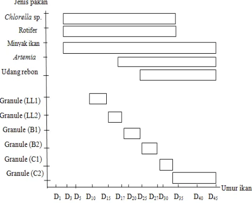 Grafik 1. Pemberian pakan alami dan pakan buatan pemeliharan larva       kerapu cantang di CV