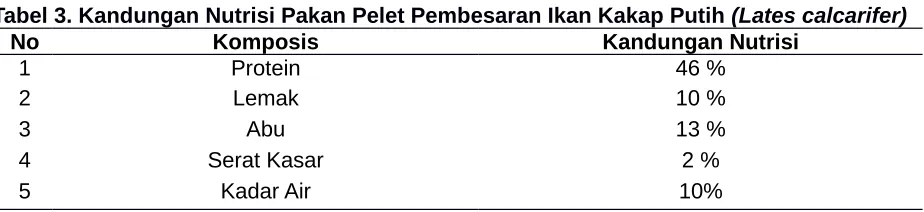 Gambar 8. Sampling  Ikan Kakap Putih (Lates calcarifer)