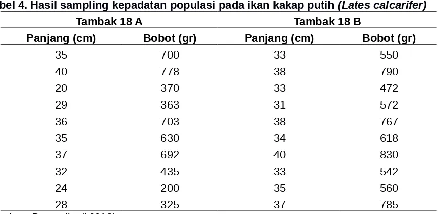 Tabel 4. Hasil sampling kepadatan populasi pada ikan kakap putih (Lates calcarifer)