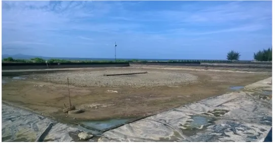 Gambar 2. Pengeringan tambak