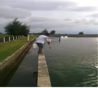 Gambar 9. Pemberian