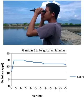 Grafik 2. Hasil pengukuran salinitas (ppt)