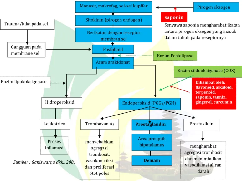 Gambar 1. Flow Chart Proses Biosinteis Prostaglandin dan Terjadinya Demam 