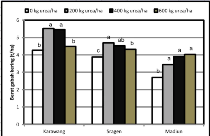 Gambar 5.  Peningkatan hasil padi tanah sawah di  Karawang, Sragen dan Madiun sebagai  dampak penambahan pupuk N  