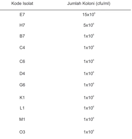 Tabel  1.  Isolat bakteri dekomposer yang diperoleh dari beberapa lokasi di Sulawesi Selatan Table  1
