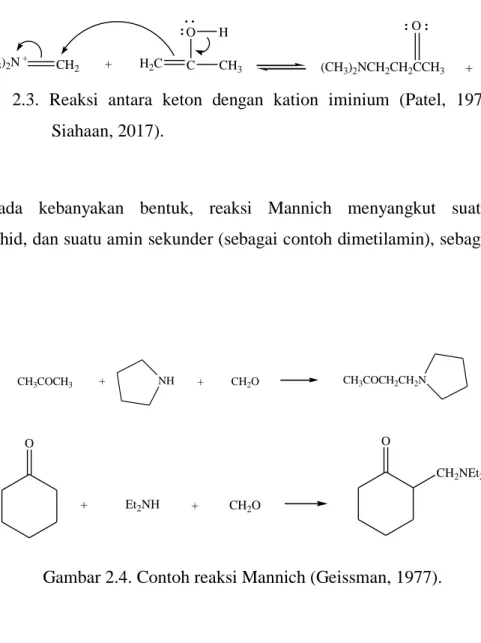 Gambar    2.3.  Reaksi  antara  keton  dengan  kation  iminium  (Patel,  1979,  dalam  Siahaan, 2017)