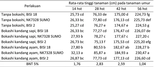 Tabel 1. Rata-rata tinggi tanaman jagung terhadap pemberian macam bokashi dan varietas