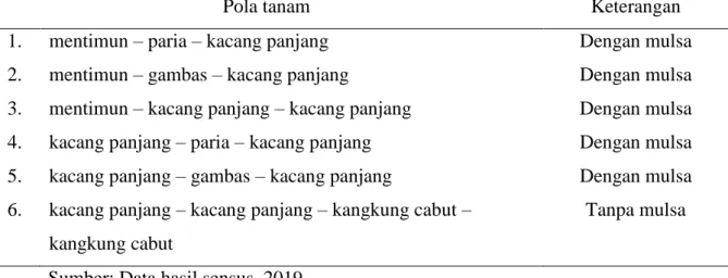 Tabel 1. Pola tanam sayuran di Kecamatan Pondok Kelapa. 