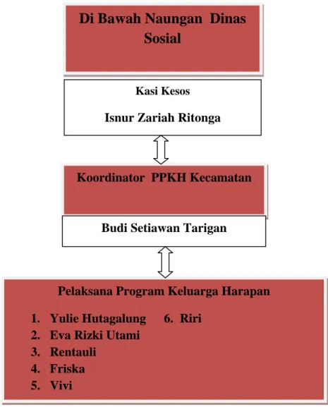 Gambar 4.1 Struktur PPKH Kecamatan Medan Selayang 