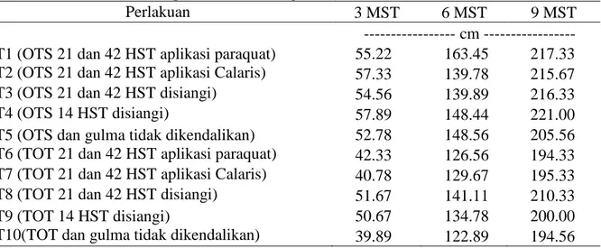 Tabel  1  menunjukkan  bahwa  perlakuan cara  pengelolaan gulma  tinggi  tanaman  tertinggi  diperoleh  pada  perlakuan T2 dan T7 yaitu berkisar  57,33-57,89  cm  pada  pengamatan  3  MST  ,  163,45  -  148,56  cm  pada  pengamatan  6  MST  dan  221,00-217