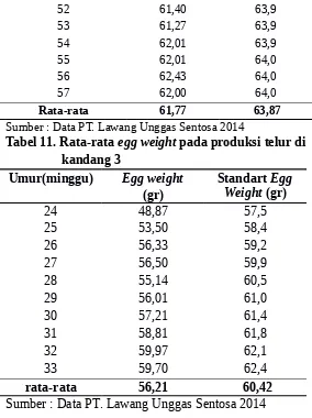 Tabel 11. Rata-rata egg weight pada produksi telur di 